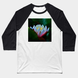 Pygmy Water-Lily Baseball T-Shirt